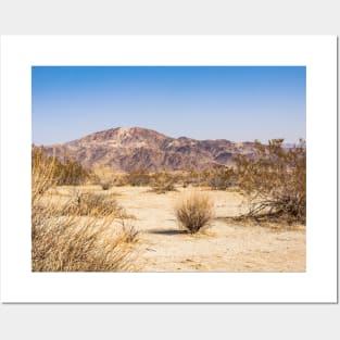 Desert Mountain from Joshua Tree National Park Photo V1 Posters and Art